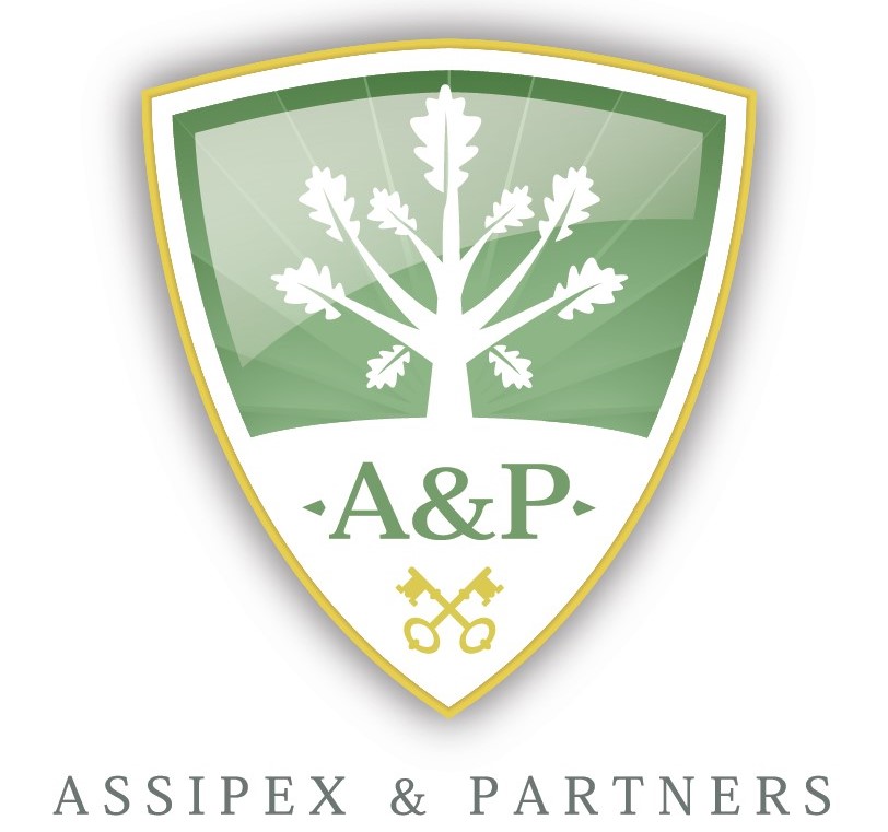 Assipex & Partners logo